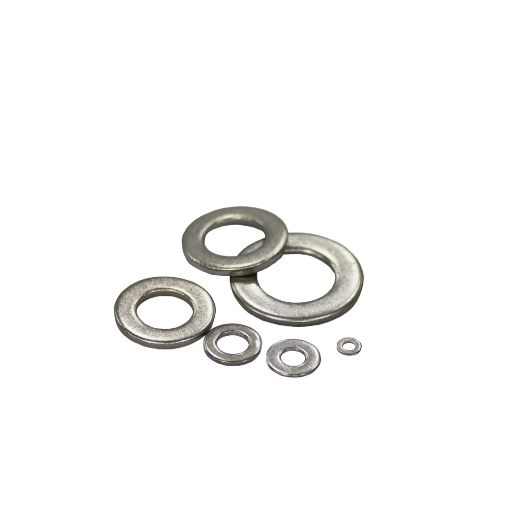 Stainless Steel 304 316 Square Flat Spring Washer